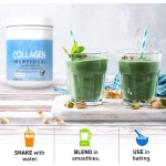 Collagen Powder Supplier - OEM 560g Vegetarian Instant