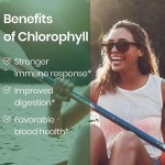 叶绿素软糖供应商 - 减肥排毒护肤代工