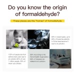 Air Purifier Supplier - Multi Purpose Environmental Deodorizer