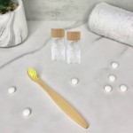 牙膏片工厂 - 可定制旅行天然风味