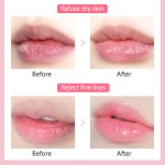 Lip Balm Supplier - Private Label Organic Vegan Waterproof