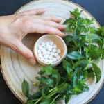 牙膏片生产厂家 - 蔓越莓敏感贴牌