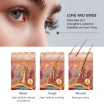 蓖麻油工厂 - 天然有机素食贴牌