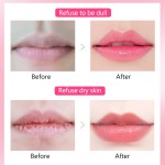 Lip Balm Factory - Customizable Herbal Moisturizing OEM