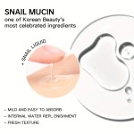 蜗牛精华供应商 - 天然皱纹美白贴牌