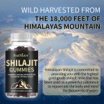 OEM ODM Shilajit Gummies Men's Health Creatine Gummies 5000mg Herbal Supplements for Adults