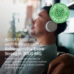 oem capsules Wholesale Pure Organic Ashwagandha Root Extract Ksm-66 Capsules Supplements for Adults Not for Pregnant Women capsule supplements
