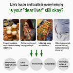 奶蓟草胶囊厂家 - 肝脏健康草本保护代工