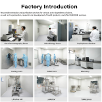 Belly Fat Burner Factory - OEM Herbal Weight Loss Abdominal