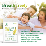 Mullein Leaf Tea Supplier - Caffeine Free Lung Cleanse Beauty