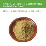 草本提取物粉供应商 - 侧叶植物瓶装桶装