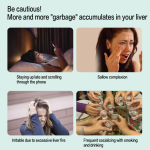 奶蓟草胶囊厂家 - 肝脏健康草本保护代工