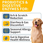 Dog Probiotic Chews Factory - OEM Digestive Enzyme Supplement