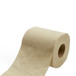 Toilet Tissue Factory - Environmentally Friendly Biodegradable Soft