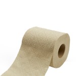 Baby Tissue Manufacturer - Natural Absorbent Flexibility Comfort
