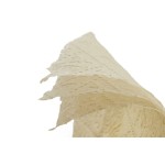 Toilet Paper Manufacturer - 100% Biodegradable Organic Unbleached