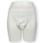 卫生内裤供应商 - 女性一次性吸收批发