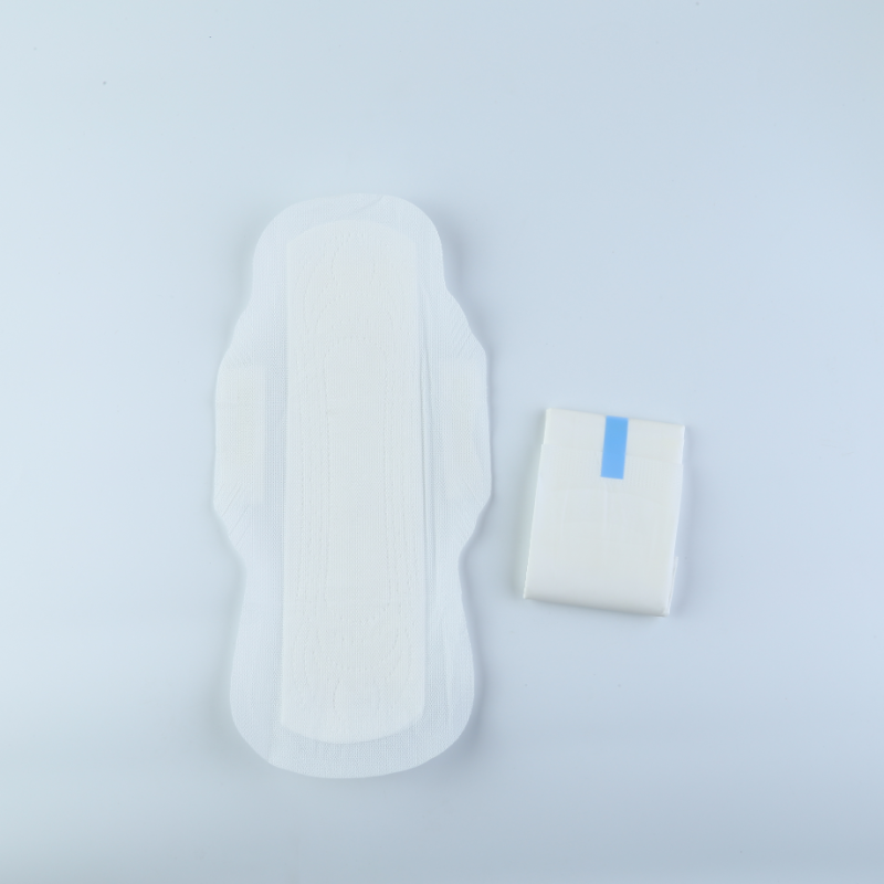 卫生巾供应商 - 纳米银护垫免费运输