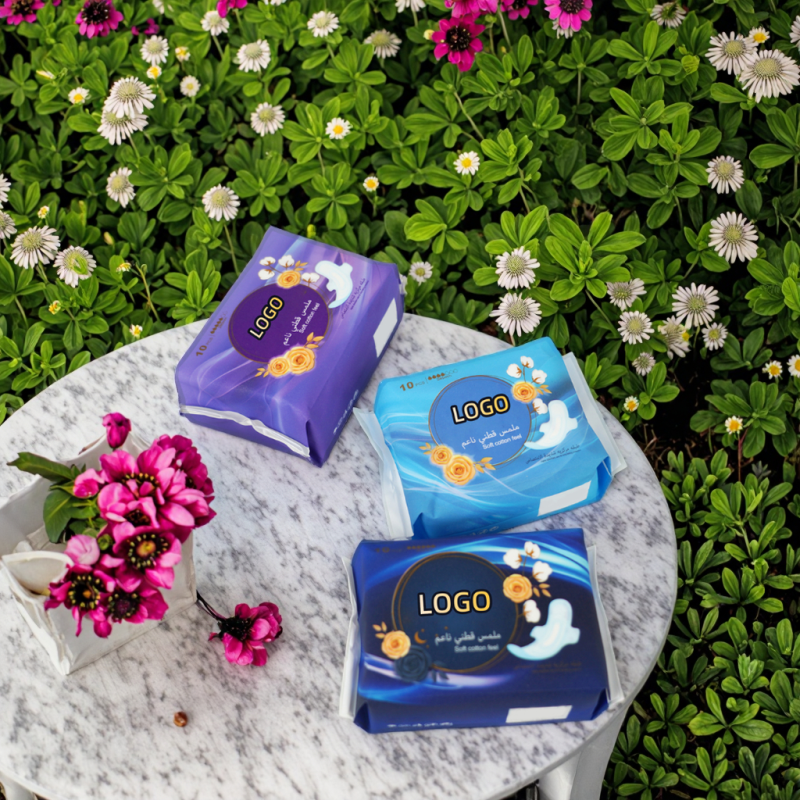 卫生护垫裤供应商 - 超强吸收贴牌