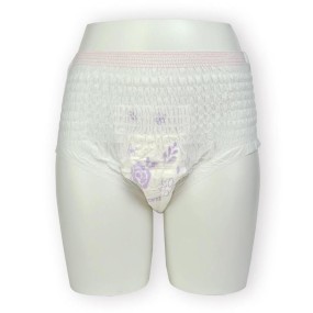 Period Underwear Supplier - New Popular Disposable Women