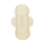 卫生护垫工厂 - 女士定制贴牌