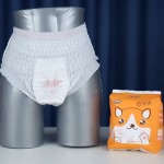 经期内裤供应商 - 3包装棉质一次性超强