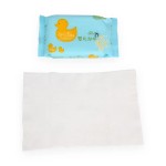 湿巾工厂 - 高品质无绒餐厅