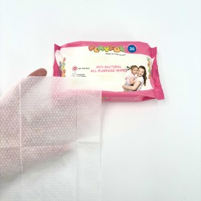 Wet Wipes Factory - High Quality Disposable Spunlace Pure