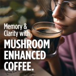 Matcha Powder Manufacturer - Factory Wholesale Ceremonial Grade