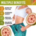 Appetite Suppressant Drops Factory - OEM Organic Garcinia Cambogia