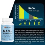 NAD Capsules Supplier - Private Label Liposomal 1000mg Supplement