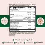 Vitamin C Ester Manufacturer - Oil Soluble Ascorbyl Palmitate Supplement