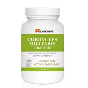 Cordyceps Extract Capsules Factory - OEM/ODM Mushroom Extract Supplement