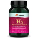 Molecular Hydrogen Tablets Manufacturer - High Concentration Brain Health