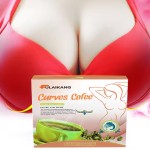 Mushroom Coffee Factory - Organic Instant Brain Booster Functional