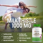 Creatine Monohydrate Powder Supplier - Sport Certified Micronized Creatine