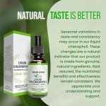 Chlorophyll Drops Manufacturer - Energy Boost Immune Support Herbal