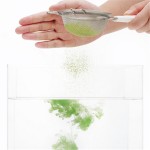 Matcha Powder Manufacturer - OEM/ODM Ceremonial Grade Slimming Tea