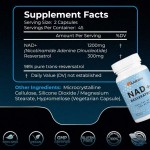 NAD Capsules Supplier - Private Label Liposomal 1000mg Supplement