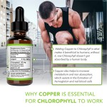 Chlorophyll Drops Manufacturer - Energy Boost Immune Support Herbal