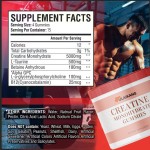 Vegan Creatine Gummies Factory - OEM/ODM Non-GMO Focus Strength Formula