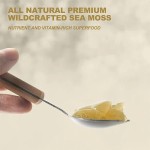 Sea Moss Gel Supplier - 92 Minerals Vitamins Immune Defense