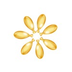 Soybean Oil Softgel Capsule Manufacturer - OEM Custom Health Food Supplement