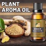 Pure Ginger Oil Factory - OEM Custom Weight Loss Belly Fat Organic