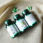 Weight Control Capsules Supplier - OEM Custom Garcinia Cambogia Fat Burn