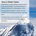 Shilajit Tablets Supplier - OEM Custom Organic Natural Himalayan Pure