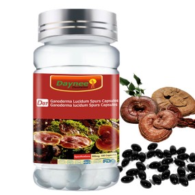 Ganoderma Capsules Supplier - OEM Custom Reishi Extract Immunity Booster