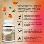 Ashwagandha Tablets Manufacturer - OEM Custom Sleep Stress Support Gluten Free