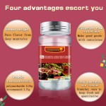 Ganoderma Capsules Supplier - OEM Custom Reishi Extract Immunity Booster