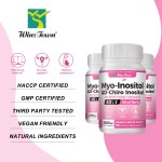 Fertility Capsules Factory - OEM Custom Myo-Inositol Female Womb Support